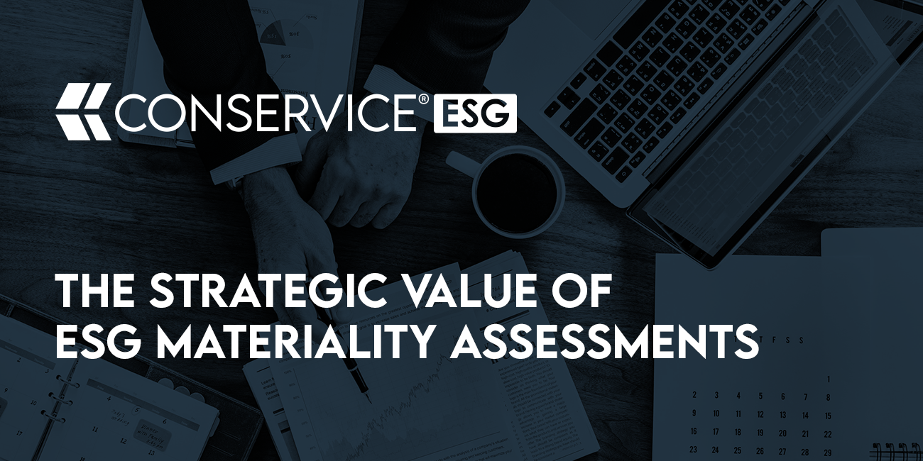 The Strategic Value Of Esg Materiality Assessments